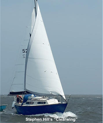 Stephen Hill’s “Clearwing”