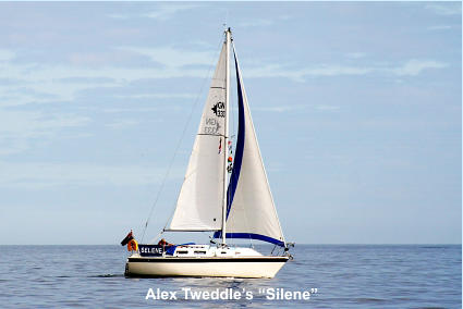 Alex Tweddle’s “Silene”