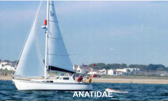 ANATIDAE