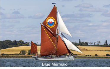 Blue Mermaid